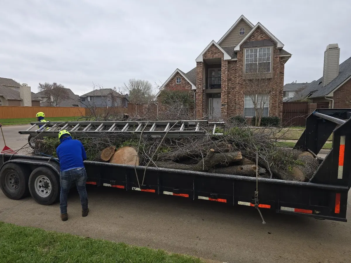 Expert Tree Pest Control with proper safety equipment in Kinston
